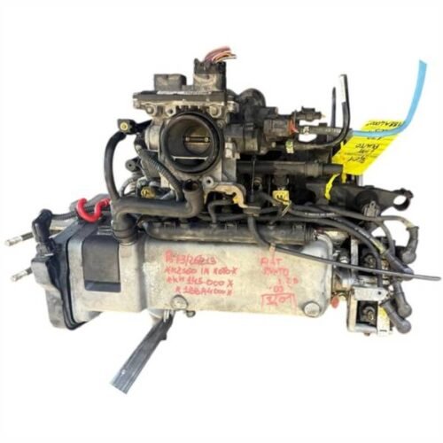 MOTORE COMPLETO FIAT Punto Berlina 5P 3° Serie 188A4000 188A4000 benzina 12 (03>) 3666943 MOTORE COMPLETO FIAT Punto Berlina 5P 3° Serie 188A4000 188A4000 benzina 12 (03>) 3666943
