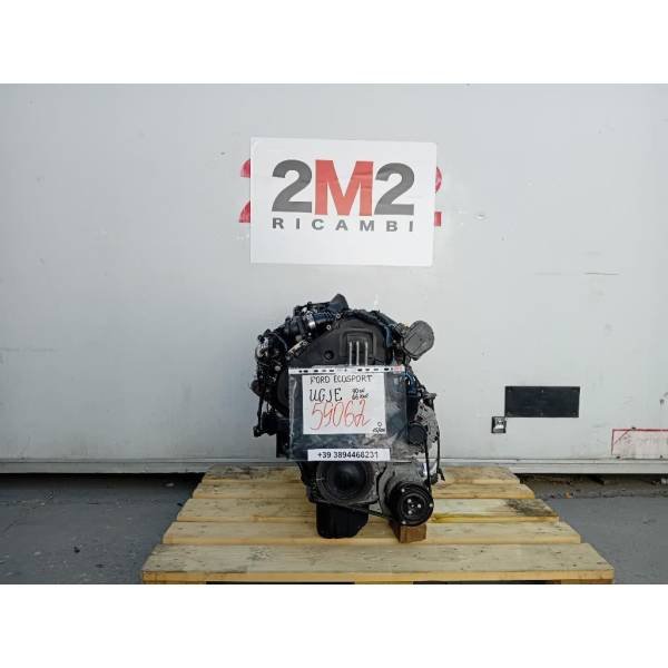 MOTORE COMPLETO FORD EcoSport Serie UGJE 90 CV 66 KW UGJE diesel 15 (12>) 3663922 MOTORE COMPLETO FORD EcoSport Serie UGJE 90 CV 66 KW UGJE diesel 15 (12>) 3663922