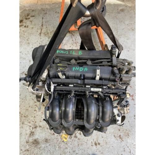 MOTORE COMPLETO FORD Focus Berlina 5° Serie IQDB PNDA Benzina 1600 (11>14) 3667573 MOTORE COMPLETO FORD Focus Berlina 5° Serie IQDB PNDA Benzina 1600 (11>14) 3667573