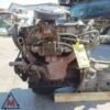 Motore 146A6000 166.000 FIAT UNO MK1 1983-1989 1.1 BENZINA 43 kW usato (109493) Motore 146A6000 166.000 FIAT UNO MK1 1983-1989 1.1 BENZINA 43 kW usato (109493)