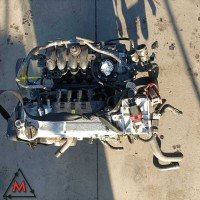 Motore 169A4000 42000 km Fiat G. Punto 2005-2018 1.2 benzina 51 kw usato (81828) Motore 169A4000 42000 km Fiat G. Punto 2005-2018 1.2 benzina 51 kw usato (81828)