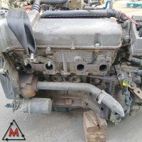 Motore 187A1000 88.000 km FIAT SEICENTO 2000-2005 1.1 BENZINA 40kW usato 118156 Motore 187A1000 88.000 km FIAT SEICENTO 2000-2005 1.1 BENZINA 40kW usato 118156
