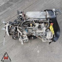 Motore 187A1000 88.000 km FIAT SEICENTO 2000-2005 1.1 BENZINA 40kW usato 118156 Motore 187A1000 88.000 km FIAT SEICENTO 2000-2005 1.1 BENZINA 40kW usato 118156
