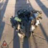 Motore 188A4000 188.000 km FIAT PUNTO 188 1999-2003 1.2 BENZINA 44kW (105026)