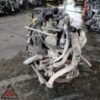 Motore 188A9000 248.000 km FIAT PUNTO 188 2003-2007 1.3 DIESEL 51kW usato 109931 Motore 188A9000 248.000 km FIAT PUNTO 188 2003-2007 1.3 DIESEL 51kW usato 109931