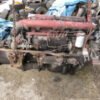 Motore 8200.03 *031 per autocarro Iveco Fiat diesel anni 70-80 usato (63746)