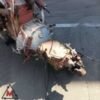 Motore 8340.04 per FIAT OM 1986 4.6 DIESEL 74kW usato (107446) Motore 8340.04 per FIAT OM 1986 4.6 DIESEL 74kW usato (107446)