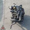 Motore 955A1000 180000 km ALFA ROMEO MITO MK1 08-13 1.4CC 58 kW usato (117360)