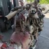 Motore autocarro 8060.25 94.000 km FIAT IVECO 109-14 del 1989 5861cc D (109395)