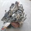 Motore BBY 186.000 km VOLKSWAGEN POLO MK4 1.4 BENZINA 55kW 2001-2005 usato 45057