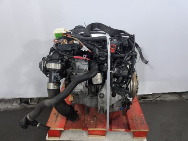 Motore BMW SERIE 1 F20 PHASE 1 Diésel usato Motore BMW SERIE 1 F20 PHASE 1 Diésel usato
