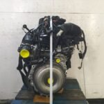Motore BMW SERIE 2 F45 ACTIVE TOURER PHASE 1 Gasolina/Híbrido usato