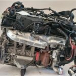 Motore BMW Serie 5 Berlina (F10) 3.0 530d usato