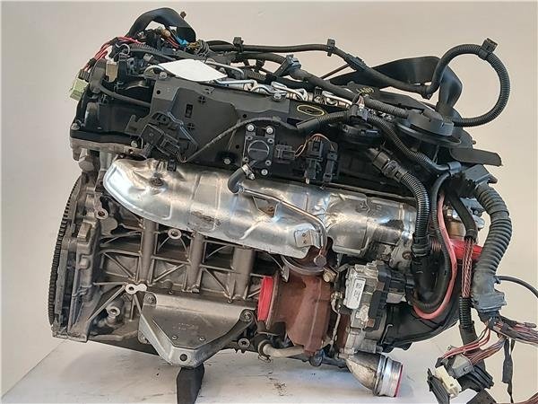 Motore BMW Serie 5 Berlina (F10) 3.0 530d usato