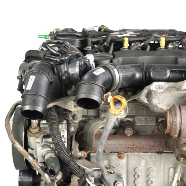 Motore completo Citroen Berlingo Peugeot Partner — 0135PN