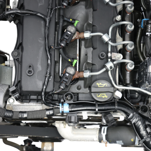 Motore completo Ford Ranger TKE III GBVAJQJ — 1882842 Motore completo Ford Ranger TKE III GBVAJQJ — 1882842