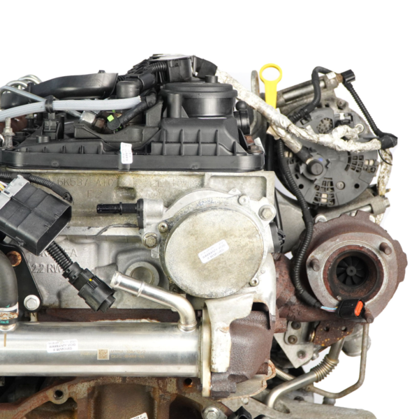 Motore completo Ford Transit MK8 2.2 TDCi RWD — 1830731 Motore completo Ford Transit MK8 2.2 TDCi RWD — 1830731