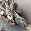 Motore d'epoca AS30104 ALFA ROMEO ALFASUD 1977-1980 1.2 BENZINA 50 kW (107874)