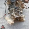Motore DHA 64.000km FORD FIESTA MK4 1995-1999 1.2 BENZINA 55kW usato (118041) Motore DHA 64.000km FORD FIESTA MK4 1995-1999 1.2 BENZINA 55kW usato (118041)