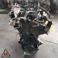 Motore DXP 7000 KM VOLKSWAGEN TIGUAN MK3 2023- 2.0 DIESEL 110 kW usato (109627) Motore DXP 7000 KM VOLKSWAGEN TIGUAN MK3 2023- 2.0 DIESEL 110 kW usato (109627)