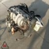 Motore F8QV7 135.000km RENAULT EXPRESS 1994-2000 1.9 DIESEL 47kW usato (99876) Motore F8QV7 135.000km RENAULT EXPRESS 1994-2000 1.9 DIESEL 47kW usato (99876)