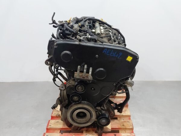 Motore FIAT BRAVO II (198_) 1.9 D Multijet usato