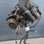 Motore FIAT PANDA 2 PHASE 1 Gasolina usato