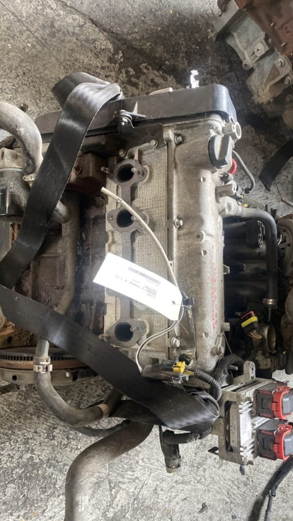 Motore FIAT PANDA 2 PHASE 2 Gasolina usato