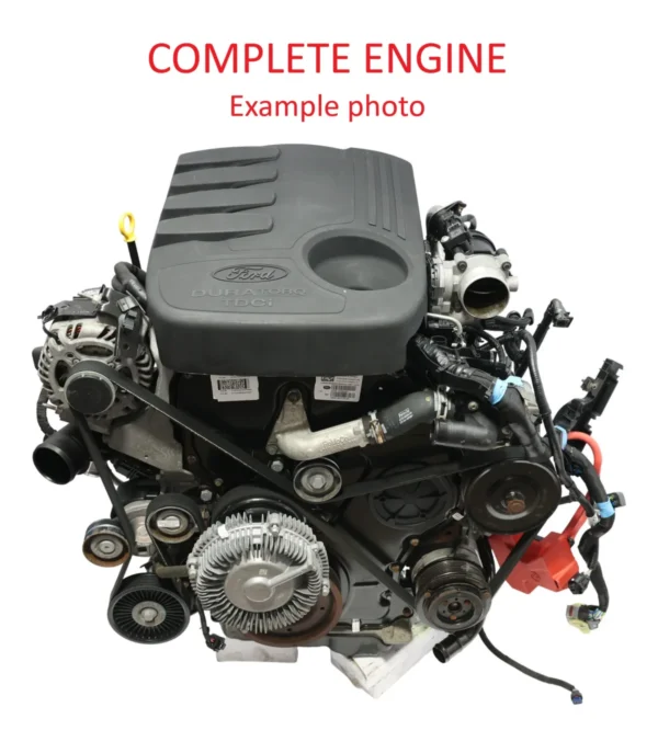 Motore semicompleto Ford Ranger TKE III GBVAJQJ — 1882842 Motore semicompleto Ford Ranger TKE III GBVAJQJ — 1882842