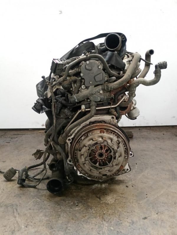 Motore Volkswagen Touran Km 216.000 1.9 TDI Diesel - 77Kw - 105Cv 2003 - 2006