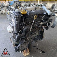 Motore Z19DT per OPEL ZAFIRA B 2005-2008 1.9 DIESEL 88 kW usato (117192) Motore Z19DT per OPEL ZAFIRA B 2005-2008 1.9 DIESEL 88 kW usato (117192)