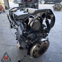 Motore Z19DT per OPEL ZAFIRA B 2005-2008 1.9 DIESEL 88 kW usato (117192) Motore Z19DT per OPEL ZAFIRA B 2005-2008 1.9 DIESEL 88 kW usato (117192)